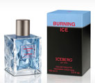 Iceberg Burning Ice