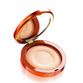 Matt Shine  Sun Powder Spf 8 201