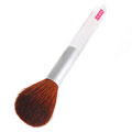 Powder Brush