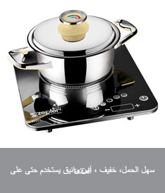 Induction Cooker